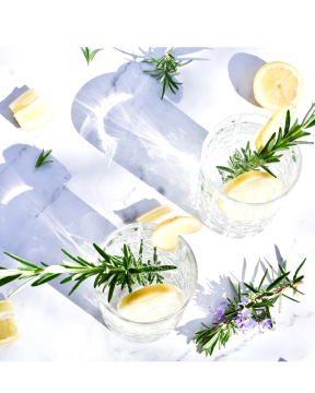 Jak správně párovat gin s tonikem