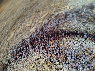 Macerace, redestilace, infuze – v čem je rozdíl?