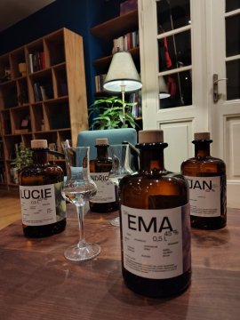 Gin bez toniku – proč to dává smysl
